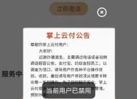 掌上云付为什么会被禁用,掌上云付最新消息